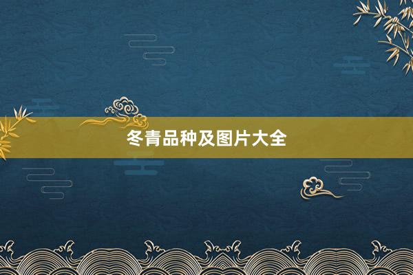 冬青品种及图片大全