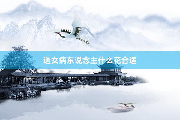 送女病东说念主什么花合适