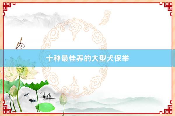 十种最佳养的大型犬保举