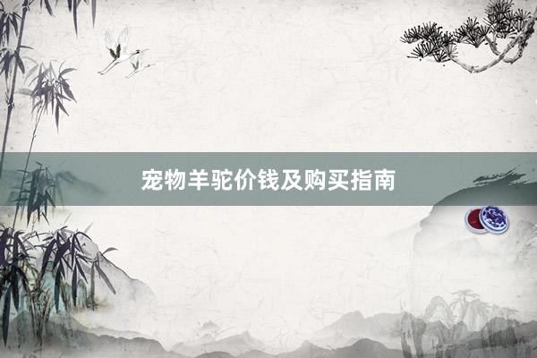 宠物羊驼价钱及购买指南