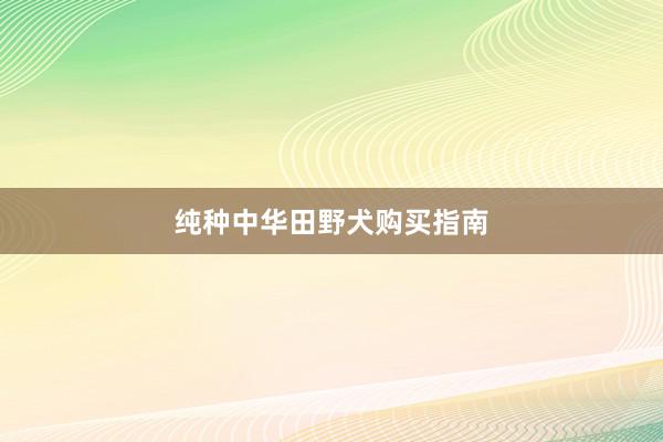 纯种中华田野犬购买指南